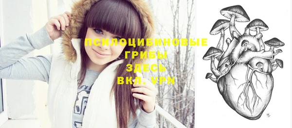 apvp Балахна