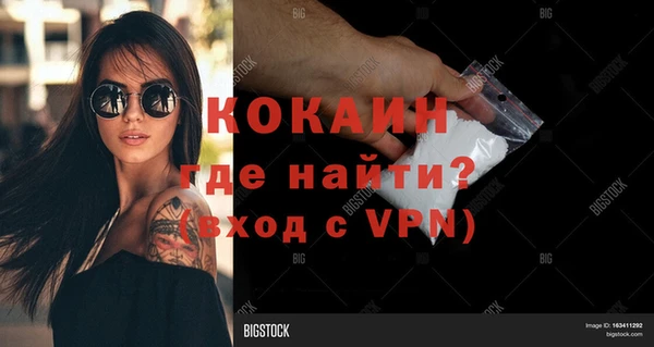 сатива Баксан