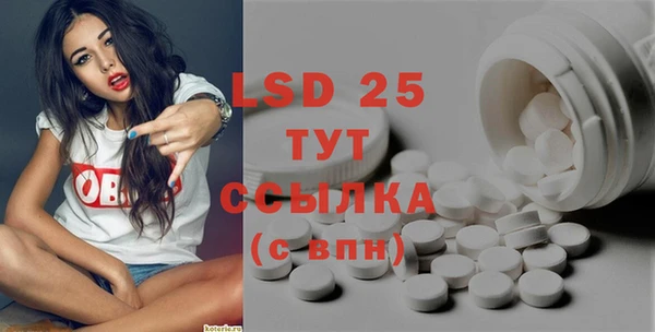 сатива Баксан