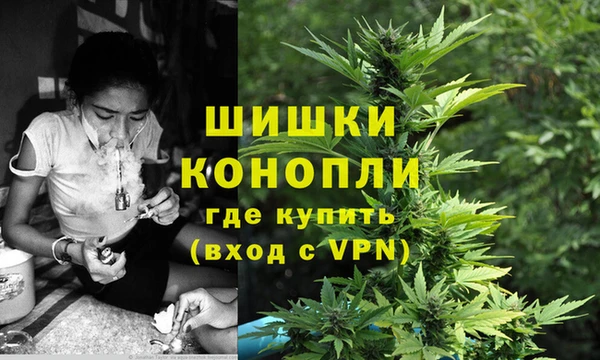 PSILOCYBIN Белоозёрский